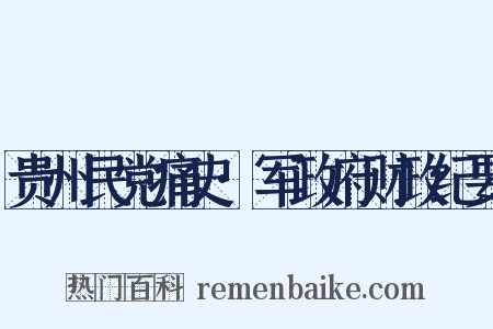 贵州民党痛史·军政府财政纪要是什么意思的图片